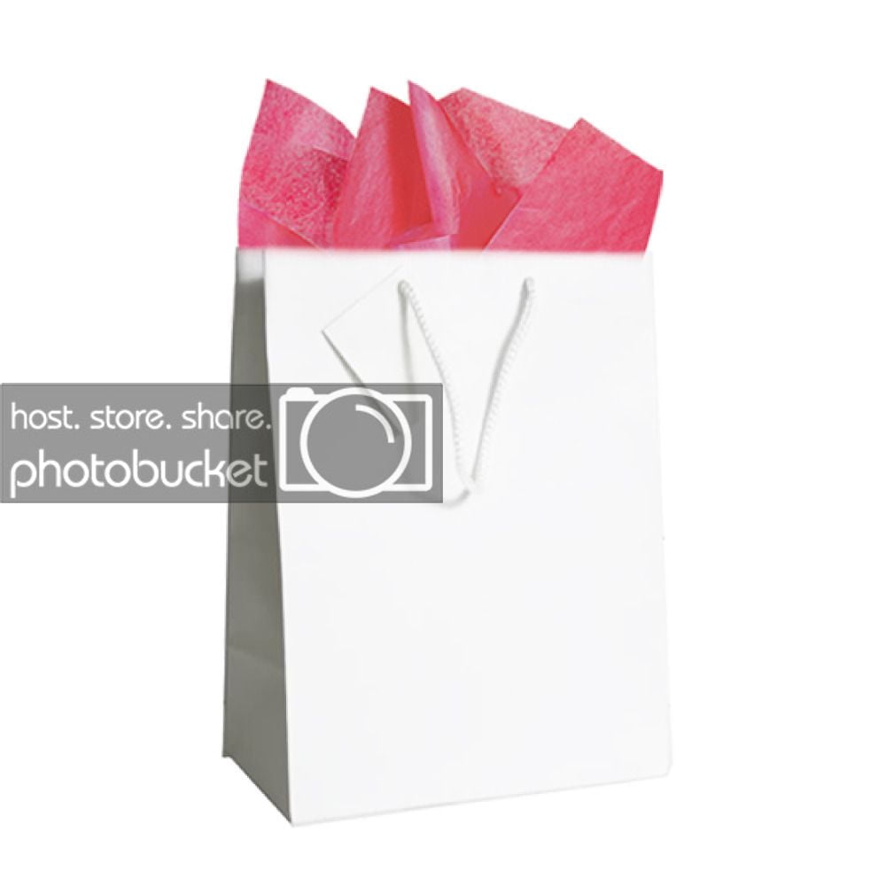 JAM Gift Bag Assortment, 2 White Bags & Fuchsia Pink Tissue Paper, 3/Pack
