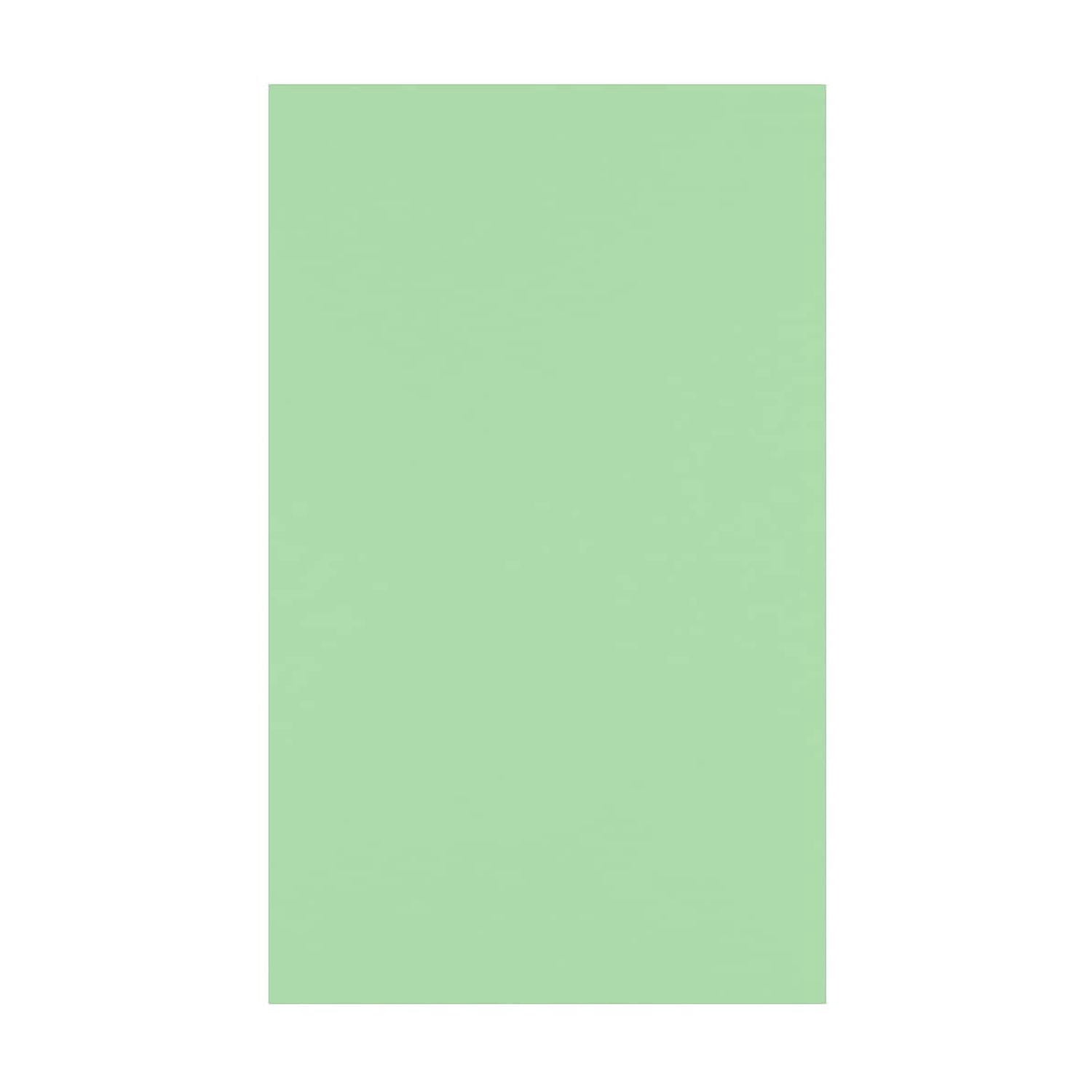 JAM Paper 11" x 17" Multipurpose Paper 60 lbs. Pastel Green 50/Pack (1117-P-67-50)