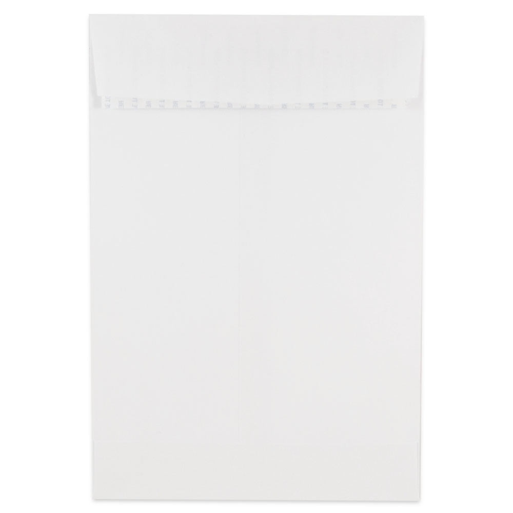 JAM Paper 6 x 9 Open End Catalog Colored Envelopes with Peel & Seal ...