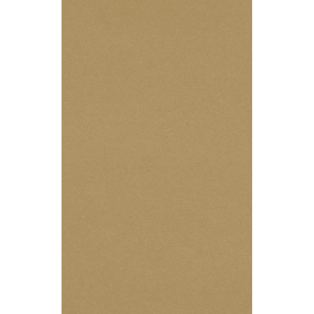 JAM Paper 8.5 x 14 Paper, 28lb, Grocery Bag Brown, 1000/Pack