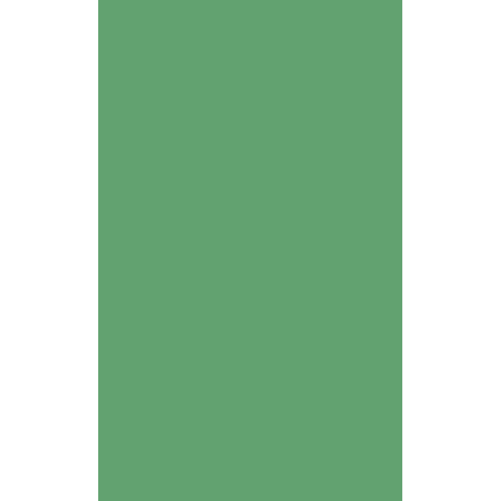 JAM Paper 8.5 x 14 Paper, 32lb Holiday Green, 250/Pack