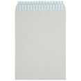 thumbnail image 1 of JAM Paper 9 x 12 Catalog Envelopes, Light Grey, 500 per Pack, Peel & Seal, 1 of 4