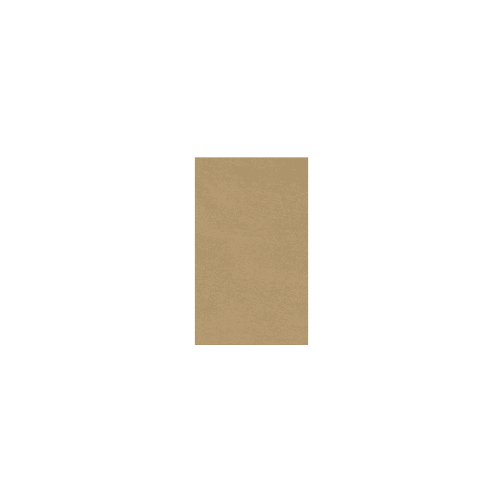 JAM Paper Cardstock, 8.5 x 14, 65lb, Grocery Bag Brown, 250/Pack
