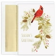 thumbnail image 1 of JAM Paper Christmas Cards & Matching Envelopes Set, Pine Perched Cardinal, 16/Pack, 1 of 1