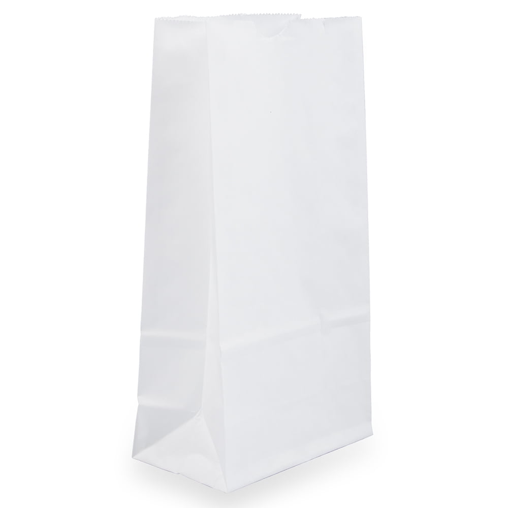 Jam Paper White Kraft Lunch Bags -690KRWH - 25 per Pack