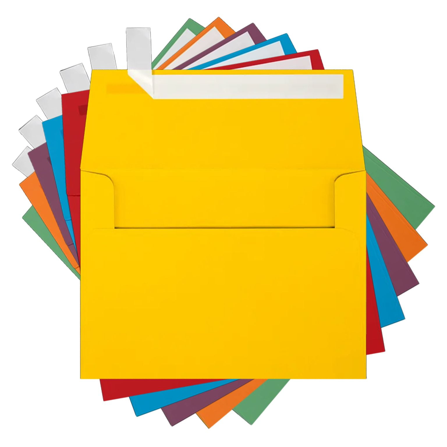 1/4x6 Assorted Plastic Envelopes