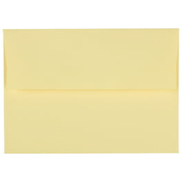  1InTheOffice Envelope Moistener 4 Pack : Office Products