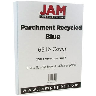 Blue Palette 12 x 12 Cardstock Paper by Recollections™, 100