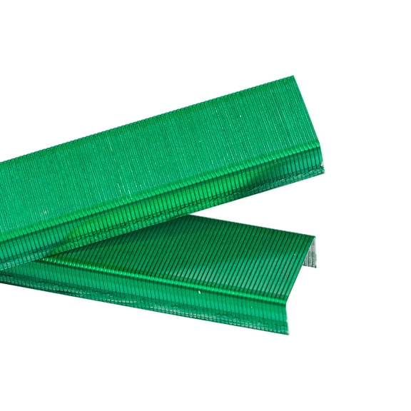 JAM Paper Standard Colorful Staples, Green, 5000/Box