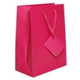 thumbnail image 1 of JAM Paper® Gift Bags - Medium - 8 x 10 x 4 - Hot Pink Matte - Sold Individually, 1 of 1