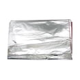 thumbnail image 1 of JAM Paper Gift Tissue Paper, Silver Mylar, 1000 Sheets/Ream, 1 of 2
