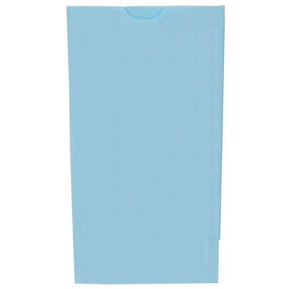 JAM Paper Kraft Lunch Bags, 4.1x8x2.3, Baby Blue, 500/Box, Small