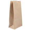 thumbnail image 1 of JAM Paper Kraft Lunch Bags, 5 x 9.75 x 3, Brown, 25/Pack, Medium, 1 of 3