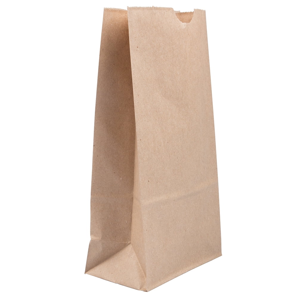 JAM Paper Kraft Lunch Bags, 5 x 9.75 x 3, Brown, 500/Box, Medium