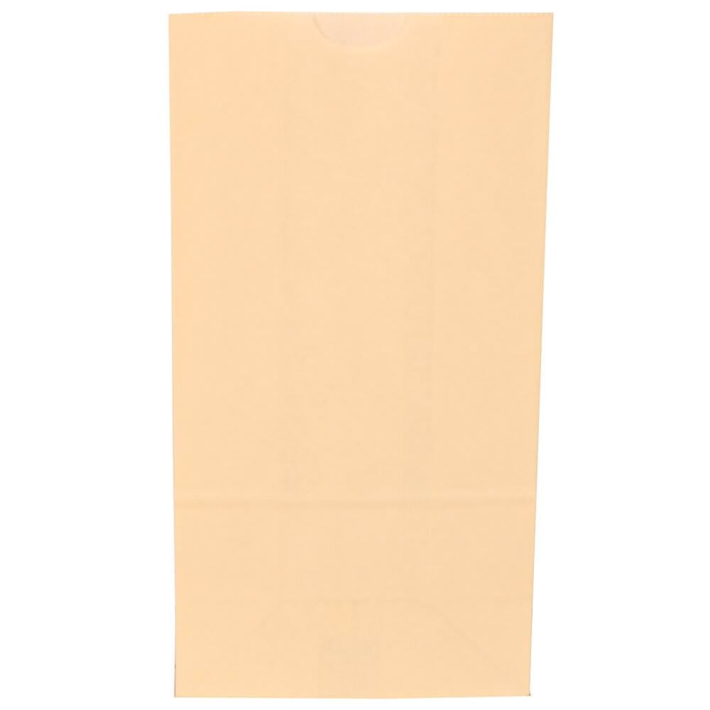 JAM Paper Kraft Lunch Bags, 5 x 9.75 x 3, Ivory, 500/Box, Medium