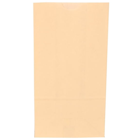 JAM Paper Kraft Lunch Bags, 5 x 9.75 x 3, Ivory, 500/Box, Medium