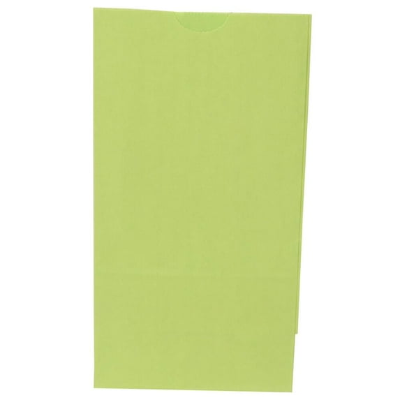 JAM Paper Kraft Lunch Bags, 5x9.75x3, Lime Green, 500/Box, Medium