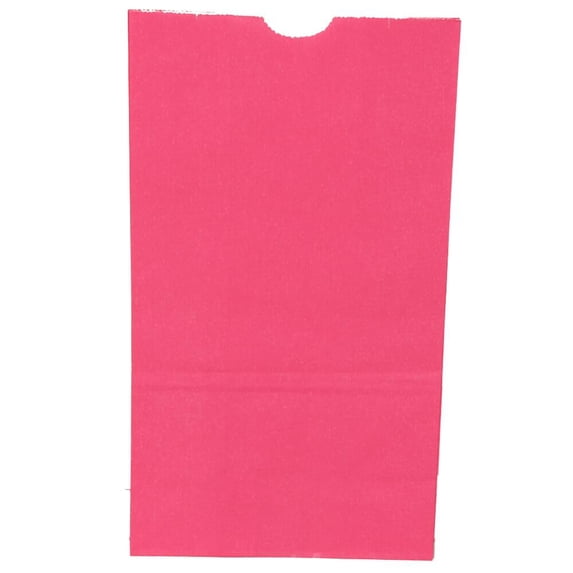 JAM Paper Kraft Lunch Bags, 6 x 11 x 3.75, 500/Box, Fuchsia Pink
