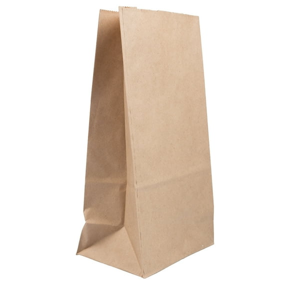 JAM Paper Kraft Lunch Bags, 6 x 11 x 3.75, Brown, 500/Box, Large
