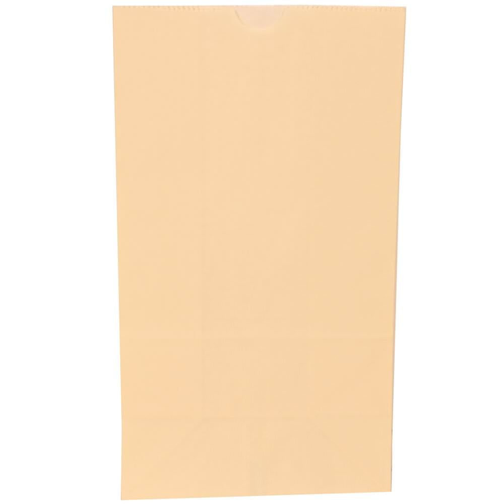 JAM Paper Kraft Lunch Bags, 6 x 11 x 3.75, Ivory, 500/Box, Large