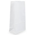 thumbnail image 1 of JAM Paper Kraft Lunch Bags, XXX-Large, 7 1/8 x 4 3/8 x 13 15/16, White, Bulk 500 Bags/Box, 1 of 3