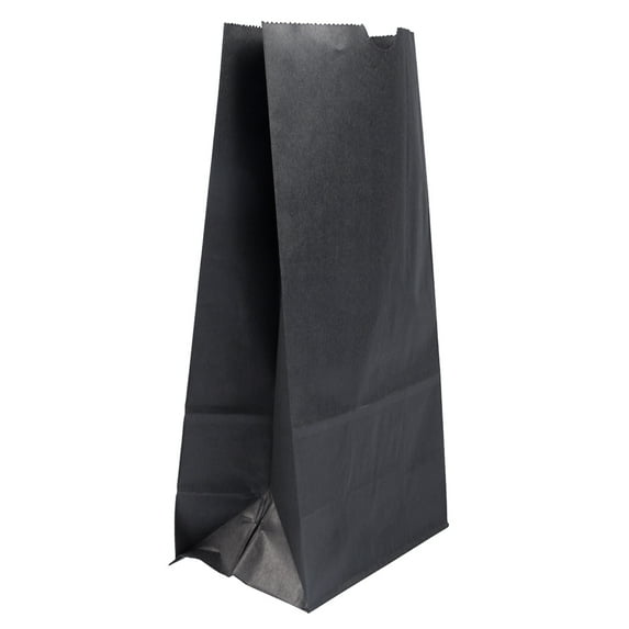 JAM Paper Large Kraft Lunch Bags, 6 in x 11 in, Black, 25 per Pack