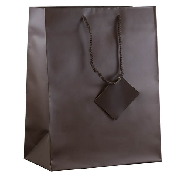 JAM Paper Large Matte Gift Bag, 10 x 13 x 5, Brown, 1/Pack