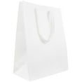 thumbnail image 1 of JAM Paper Large White Gift Bags, 10 x 13 x 5, 1/Pack, 1 of 3