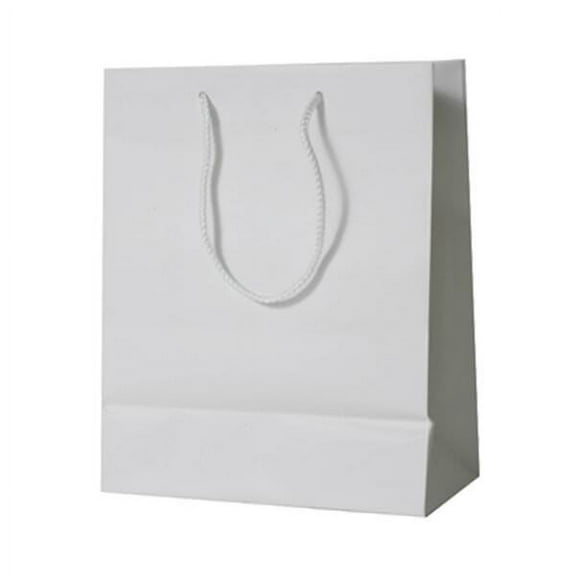 JAM Paper Matte Gift Bag, 10 x 13 x 5, White, 1/Pack, Large