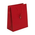 thumbnail image 1 of JAM Paper Matte Gift Bags, 10 x 13 x 5, Red, 100/Pack, Large, 1 of 2