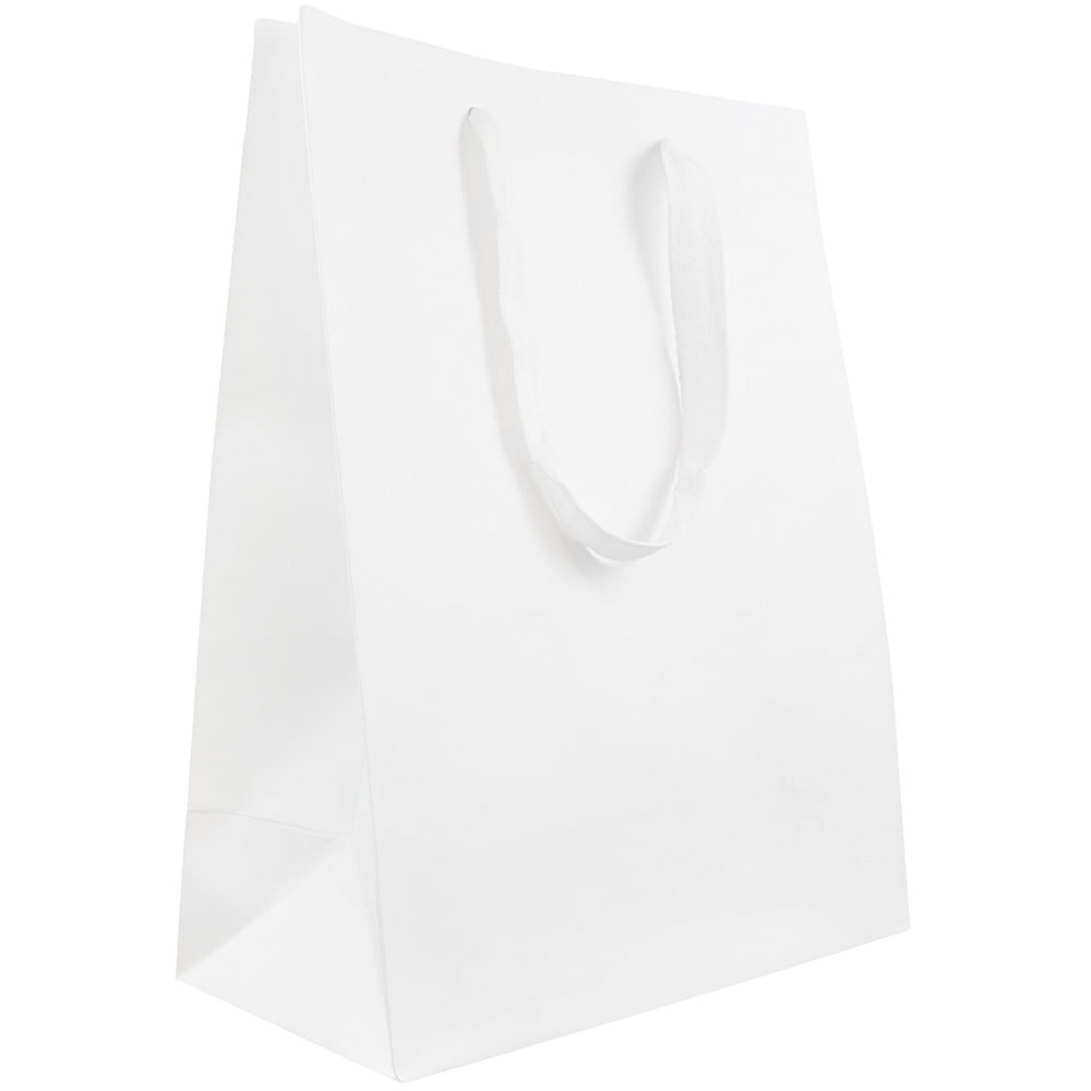 JAM Paper Matte Gift Bags, 10 x 13 x 5, White Kraft, 3/Pack, Large