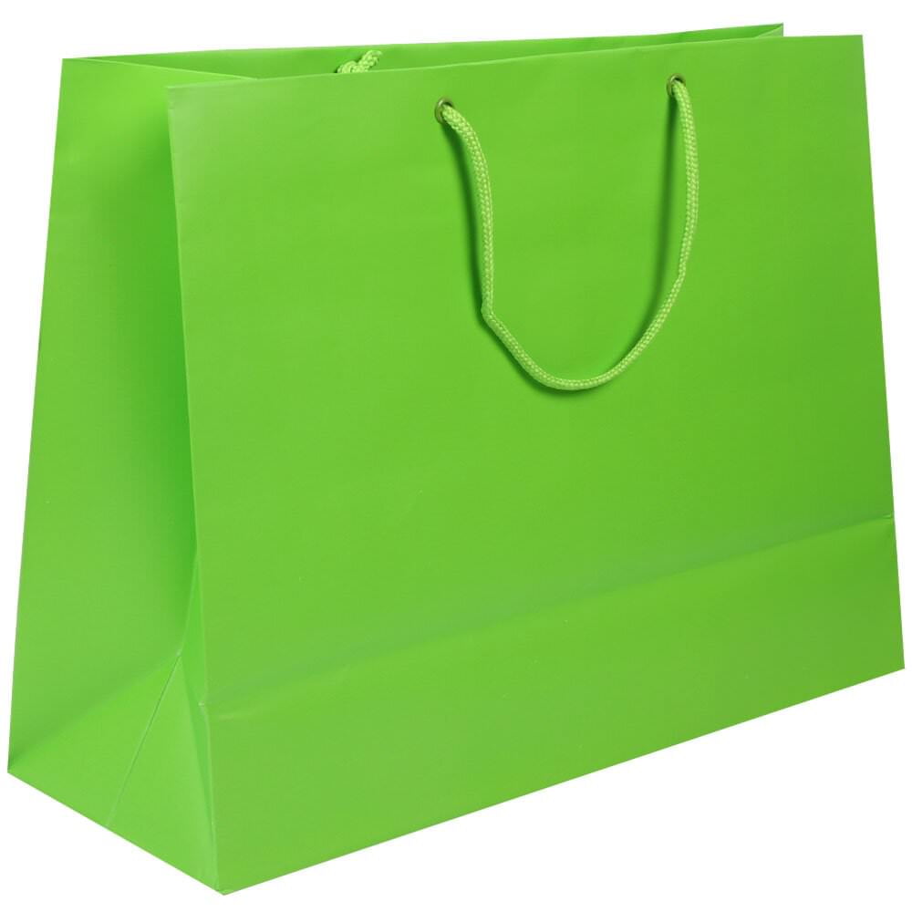 JAM Paper® Gift Tags with String, Medium, 4 3/4 x 2 3/8, Neon Green,  10/Pack (91931037)