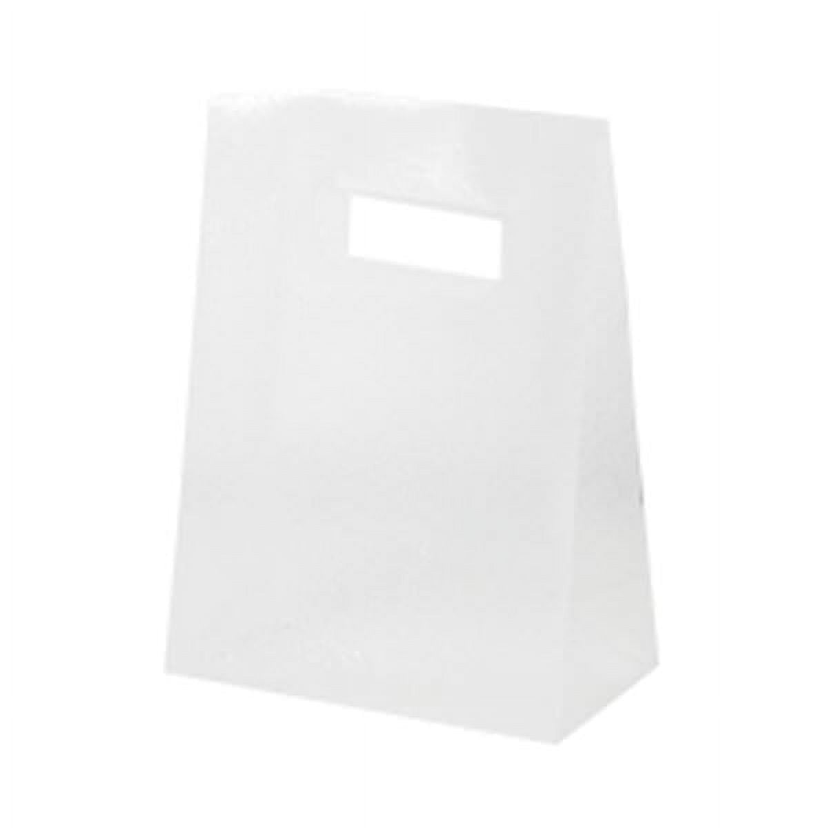 JAM Paper Mini Frosted Lunch Bag, 3 x 4 x 1.5, Clear, 1/Pack