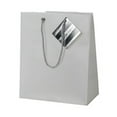 thumbnail image 1 of JAM Paper Opaque Gift Bag, 7.5 x 9 x 4, Clear, 1/Pack, Small, 1 of 1