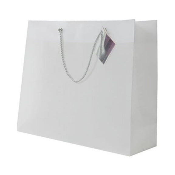 JAM Paper Opaque Gift Bags, 13 x 10.5 x 4, Clear, 500/Box, Large