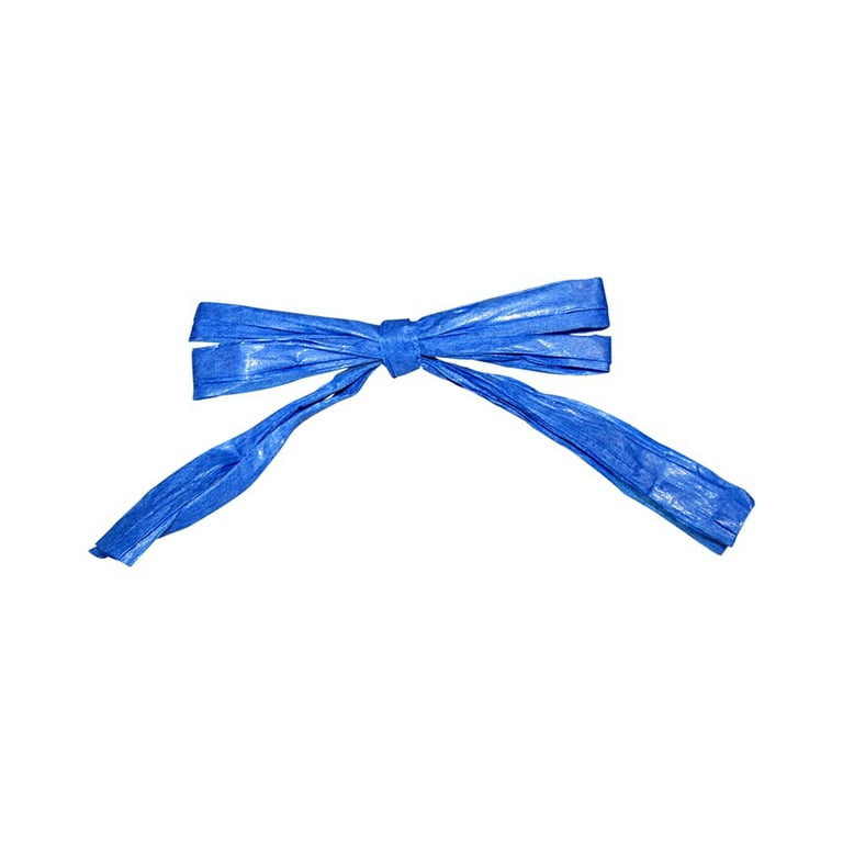JAM Paper Plastic Raffia Ribbon, Natural, 3/8 in x 100 yd, 1/Pack