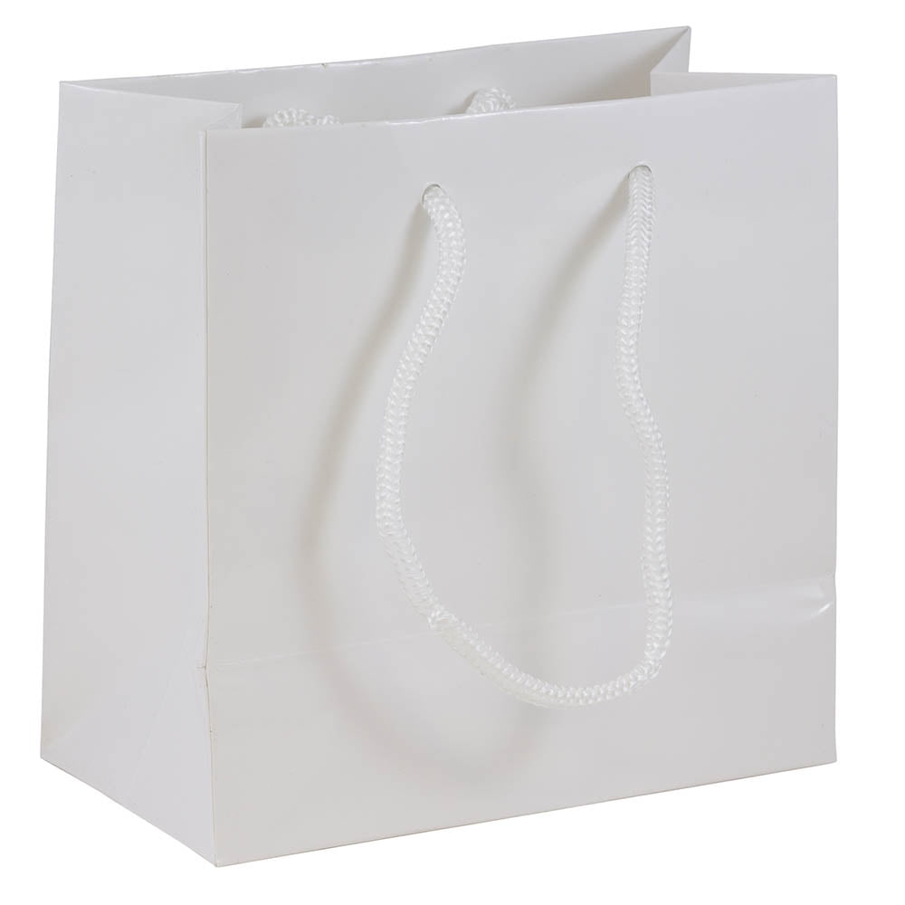 Small Landscape Paper Gift Bag, Rope Handles