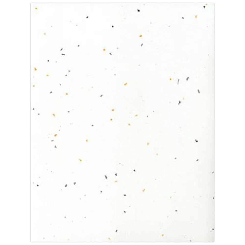 JAM Paper Translucent Vellum Cardstock, 8 1/2" x 11", 43lb Fragments