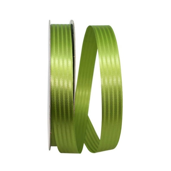 JAM Paper Tux Stripe Ribbon, 7/8 In x 100 Yards, 2/Pack, Moss Green