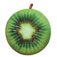 thumbnail image 1 of JANDEL 3D Fruit Slice Memory Foam Pillow Bolster Sofa Cushion Chair Seat Pad Stuffed Home Decor, 16 inch, 1 of 6