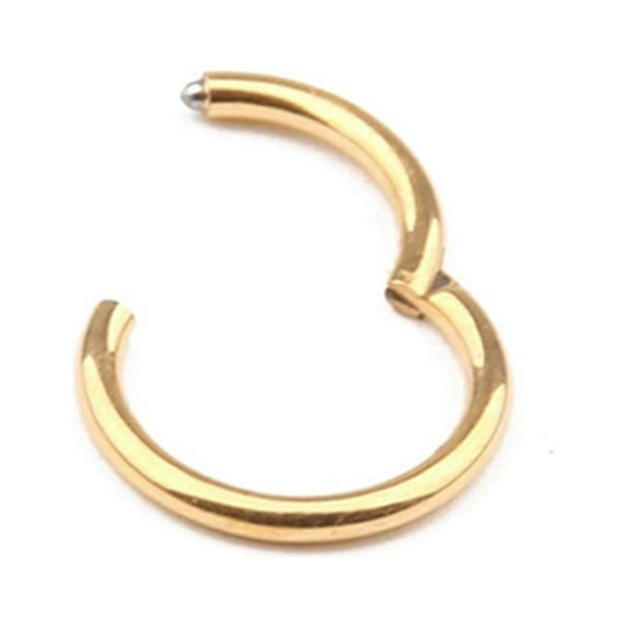 JANGSLNG 1 Pc 16G 14G Hinged Segment Hoop Ring Stainless Steel Lip Nose Septum Piercing