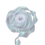JANGSLNG 1 Roll 10 Yard Chiffon Ribbon Iridescent Valentine's Day Wedding Birthday Bouquet Gift Wrapping Sheer Organza Ribbon Birthday Party Ribbon Decoration