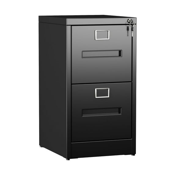 JAORD Metal Office Organizer, Designs 2-Drawer Vertical File Cabinet, Assemble Required Office&Garage&Home, Easy-Assembly, Black