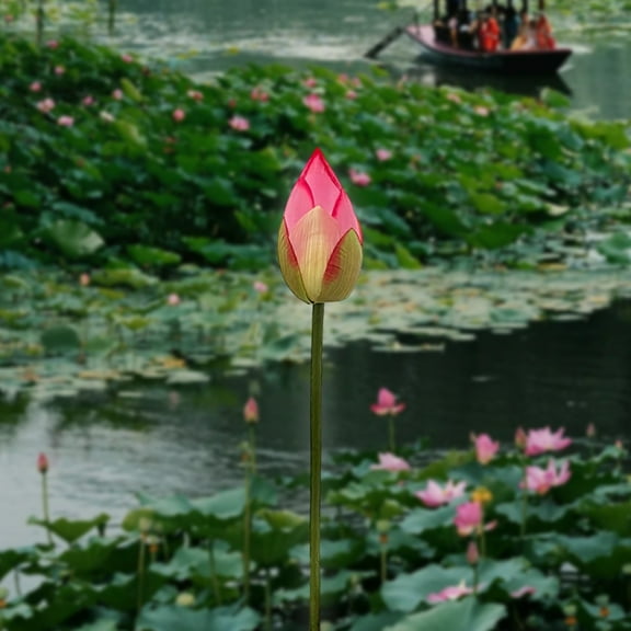 JASKFLY Artificial Flower Arrangement - Realistic Silk Lotus & Water Lily Decor for Buddha Altar Dining Table Tv Cabinet, 13.8 x 2 x 2 in, (Dark Pink)