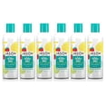 thumbnail image 1 of JASON Kids Only! Extra Gentle Shampoo, 17.5 Ounce Bottles (Pack of 6), 1 of 1