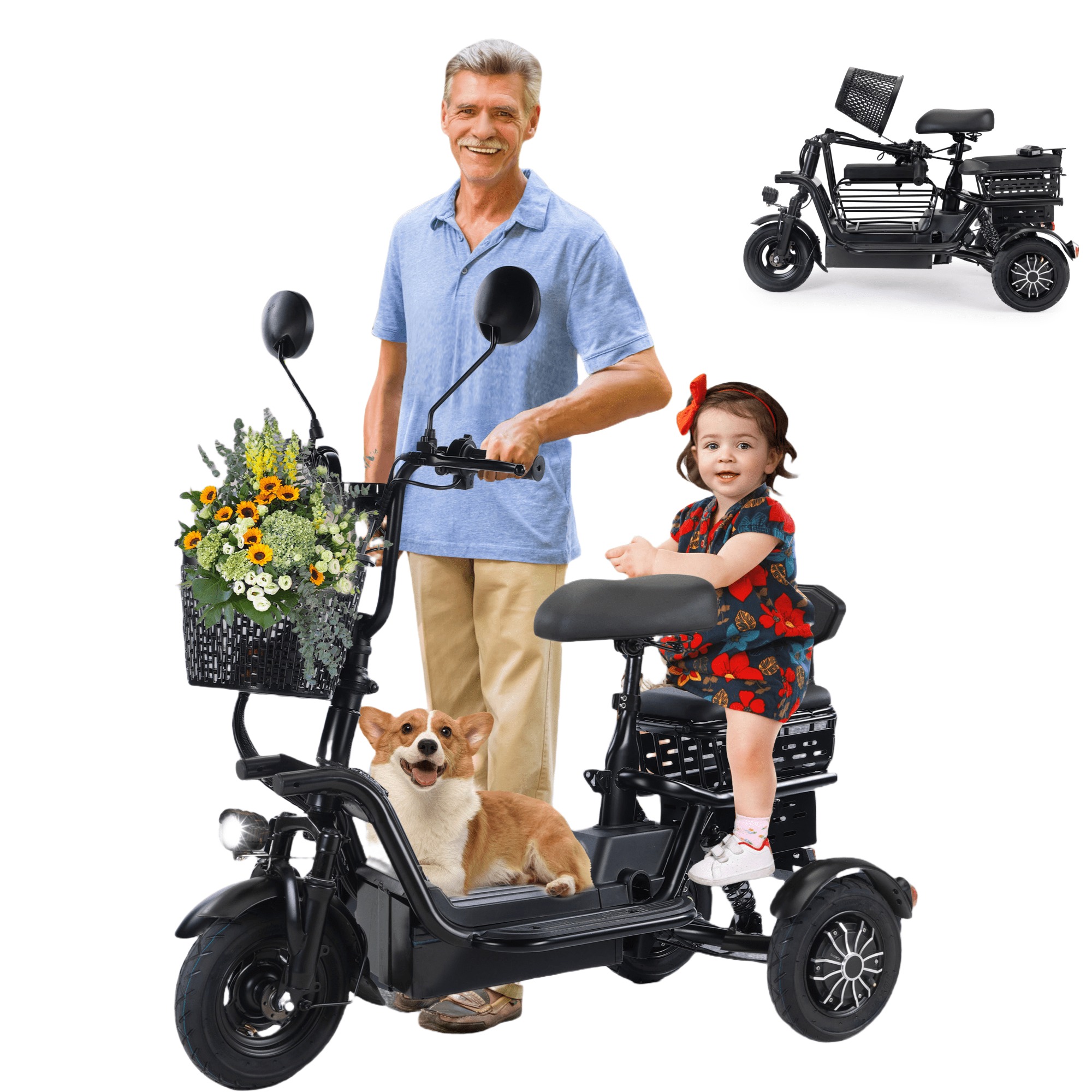 3 wheel folding electric bike online