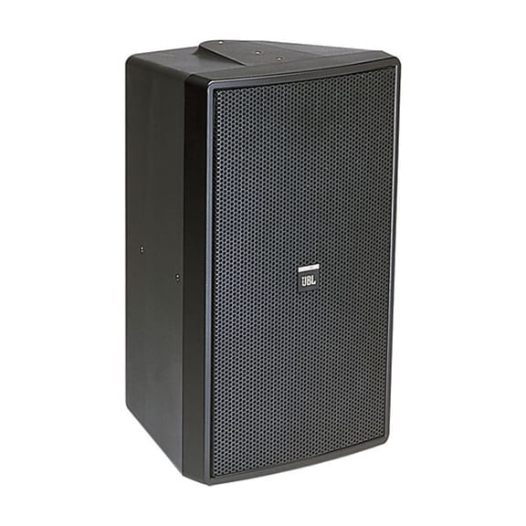 C29AV-1 Control 2-Way Indoor/Outdoor Speaker