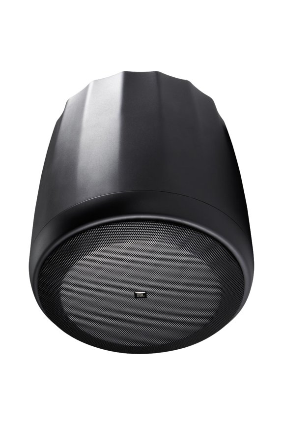 Professional Control 67 P/T Extended Range Full-Range Pendant Speaker