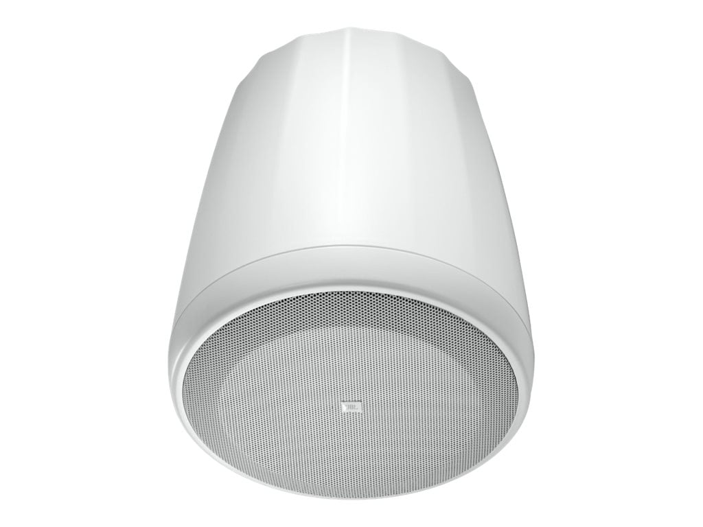 Control 65 P/T Compact Full-Rang ePendant Speaker