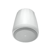 Control 65 P/T Compact Full-Rang ePendant Speaker